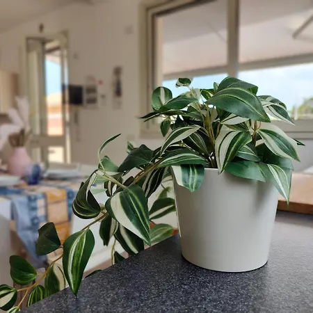 Barbato Apartment *